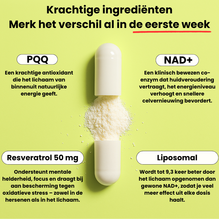 Revitanord NAD+